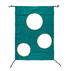 Torwand (Fußballspiel)