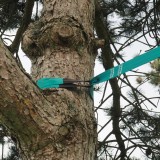 Parcours Ninja XL 