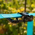Slackline mit Trainingsset Slackline mit Trainingsset