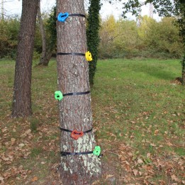 Klettergriffe für Bäume