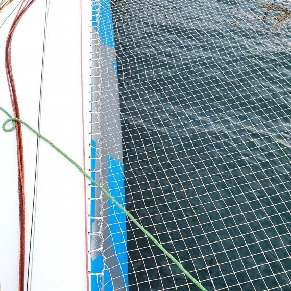 Filet de catamaran - Mailles tressées Dyneema Pré-étirées 50mm